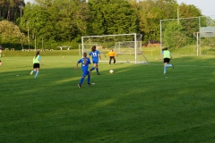 SGM SV Pfrondorf-Mindersbach/Oberes Nagoldtal - VfL Sindelfingen (C) (24.05.2019)