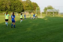 SGM SV Pfrondorf-Mindersbach/Oberes Nagoldtal - VfL Sindelfingen (C) (24.05.2019)