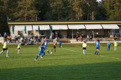 SGM SV Pfrondorf-Mindersbach/Oberes Nagoldtal - VfL Sindelfingen (C) (24.05.2019)