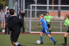 Spfr. Gechingen - VfL Sindelfingen (C) (20.10.2018)