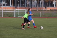 Spfr. Gechingen - VfL Sindelfingen (C) (20.10.2018)