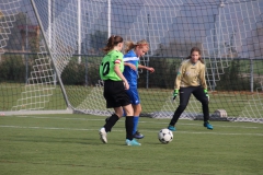 Spfr. Gechingen - VfL Sindelfingen (C) (20.10.2018)