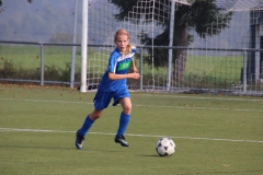 Spfr. Gechingen - VfL Sindelfingen (C) (20.10.2018)