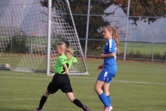 Spfr. Gechingen - VfL Sindelfingen (C) (20.10.2018)