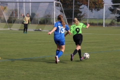 Spfr. Gechingen - VfL Sindelfingen (C) (20.10.2018)