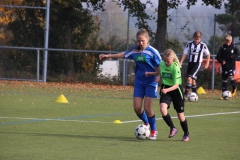 Spfr. Gechingen - VfL Sindelfingen (C) (20.10.2018)