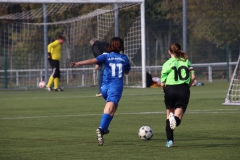 Spfr. Gechingen - VfL Sindelfingen (C) (20.10.2018)