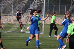 Spfr. Gechingen - VfL Sindelfingen (C) (20.10.2018)