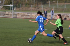 Spfr. Gechingen - VfL Sindelfingen (C) (20.10.2018)