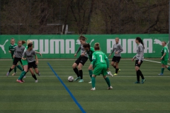 SpVgg Greuther Fürth - VfL Sindelfingen (B1) (23.04.2022)