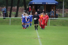 SV Berneck Zwerenberg - VfL Sindelfingen (F1) (03.10.2018)