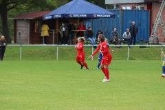 SV Berneck Zwerenberg - VfL Sindelfingen (F1) (03.10.2018)