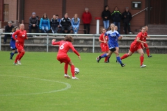 SV Berneck Zwerenberg - VfL Sindelfingen (F1) (03.10.2018)