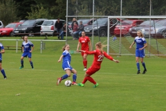 SV Berneck Zwerenberg - VfL Sindelfingen (F1) (03.10.2018)