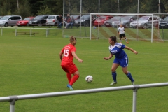 SV Berneck Zwerenberg - VfL Sindelfingen (F1) (03.10.2018)