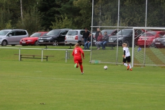 SV Berneck Zwerenberg - VfL Sindelfingen (F1) (03.10.2018)