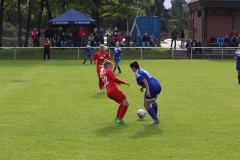 SV Berneck Zwerenberg - VfL Sindelfingen (F1) (03.10.2018)