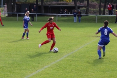 SV Berneck Zwerenberg - VfL Sindelfingen (F1) (03.10.2018)