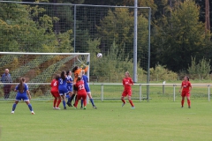 SV Berneck Zwerenberg - VfL Sindelfingen (F1) (03.10.2018)