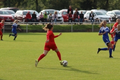 SV Berneck Zwerenberg - VfL Sindelfingen (F1) (03.10.2018)