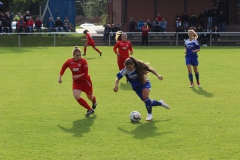 SV Berneck Zwerenberg - VfL Sindelfingen (F1) (03.10.2018)