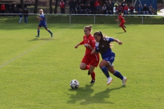 SV Berneck Zwerenberg - VfL Sindelfingen (F1) (03.10.2018)