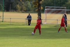 SV Berneck Zwerenberg - VfL Sindelfingen (F1) (03.10.2018)