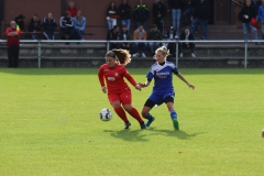 SV Berneck Zwerenberg - VfL Sindelfingen (F1) (03.10.2018)