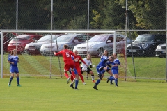 SV Berneck Zwerenberg - VfL Sindelfingen (F1) (03.10.2018)