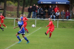 SV Berneck Zwerenberg - VfL Sindelfingen (F1) (03.10.2018)