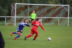 SV Berneck Zwerenberg - VfL Sindelfingen (F1) (03.10.2018)