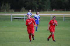 SV Berneck Zwerenberg - VfL Sindelfingen (F1) (03.10.2018)