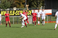 SV Eutingen - VfL Sindelfingen Ladies (F) (08.10.2023)