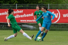 SV Hegnach 1 - VFL Sindelfingen (B1) (26.05.2022)