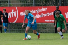 SV Hegnach 1 - VFL Sindelfingen (B1) (26.05.2022)