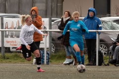 TV Jebenhausen - VFL Sindelfingen (B1) (06.02.2022)