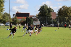 SV Jungingen - VfL Sindelfingen (F) (24.09.2023)