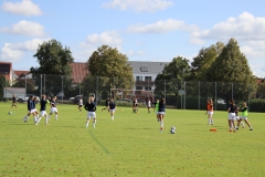 SV Jungingen - VfL Sindelfingen (F) (24.09.2023)