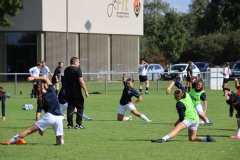 SV Jungingen - VfL Sindelfingen (F) (24.09.2023)