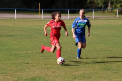 SV Oberreichenbach - VfL Sindelfingen (B2) (06.10.2018)