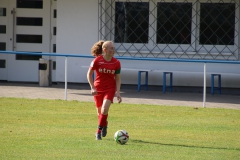 SV Oberreichenbach - VfL Sindelfingen (B2) (06.10.2018)