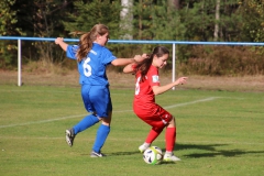 SV Oberreichenbach - VfL Sindelfingen (B2) (06.10.2018)