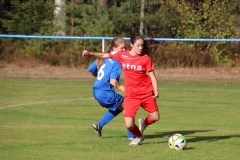 SV Oberreichenbach - VfL Sindelfingen (B2) (06.10.2018)