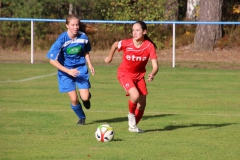 SV Oberreichenbach - VfL Sindelfingen (B2) (06.10.2018)