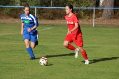 SV Oberreichenbach - VfL Sindelfingen (B2) (06.10.2018)