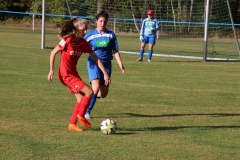 SV Oberreichenbach - VfL Sindelfingen (B2) (06.10.2018)