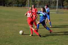 SV Oberreichenbach - VfL Sindelfingen (B2) (06.10.2018)