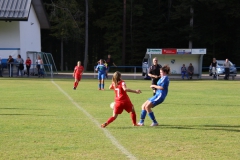 SV Oberreichenbach - VfL Sindelfingen (B2) (06.10.2018)