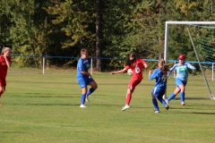 SV Oberreichenbach - VfL Sindelfingen (B2) (06.10.2018)