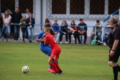 SV Oberreichenbach - VfL Sindelfingen (B2) (06.10.2018)